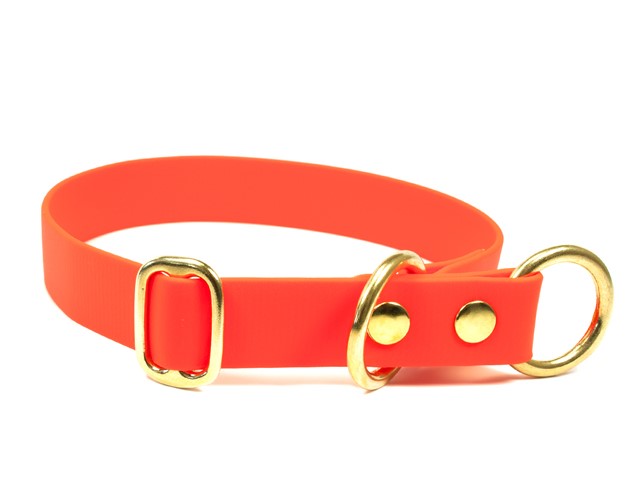 Biothane Halsband mit Stopp Neonorange, 25mm - Fichtlmeier Shop