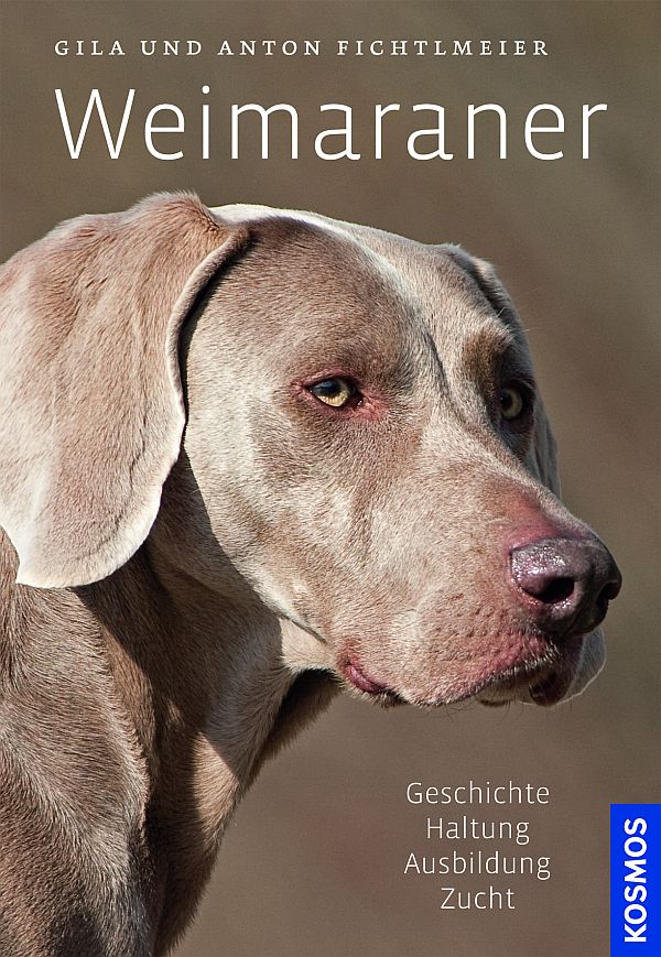 Weimaraner - best4dogs.de