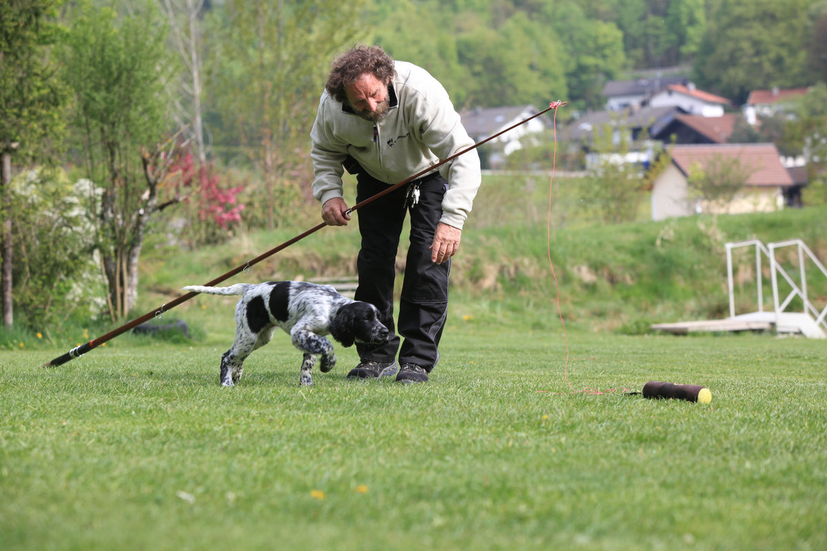 Reizangeltraining nach Fichtlmeier