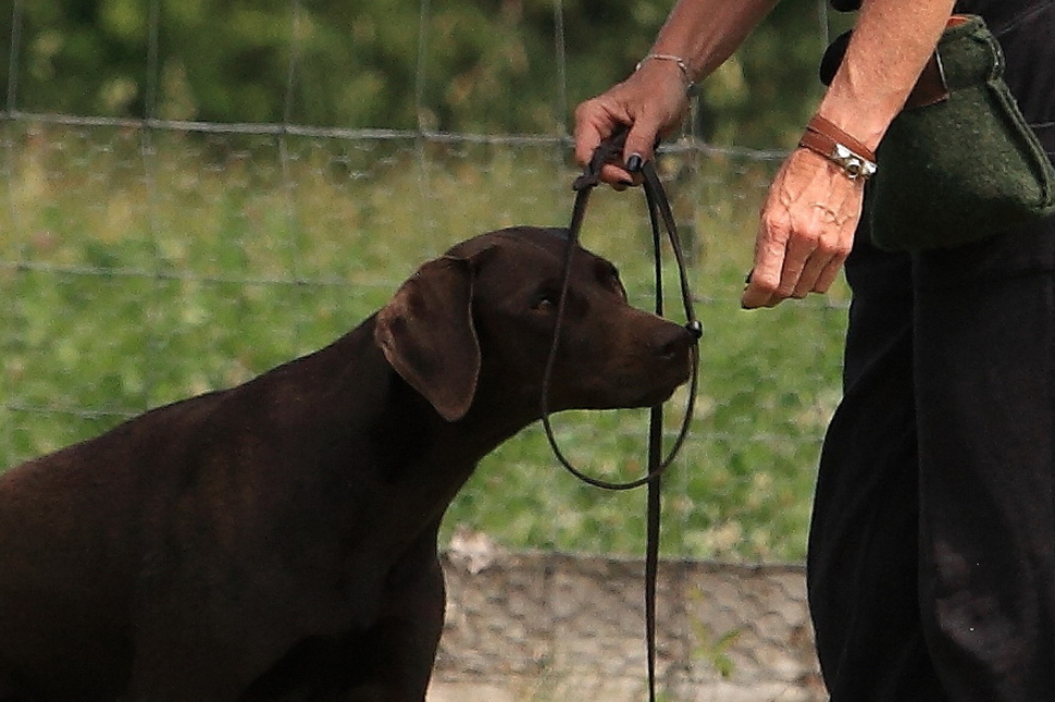 FICHTLMEIERS AN- UND ABLEINMETHODE #1