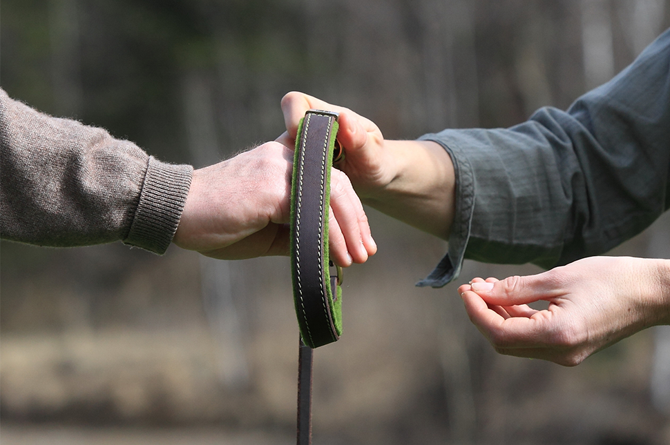 DAS ANLEGEN DES HALSBANDES #2