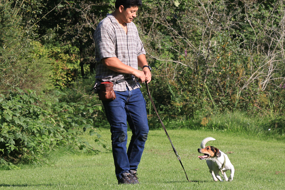 DIE LEINE ALS NEBENSACHE #2