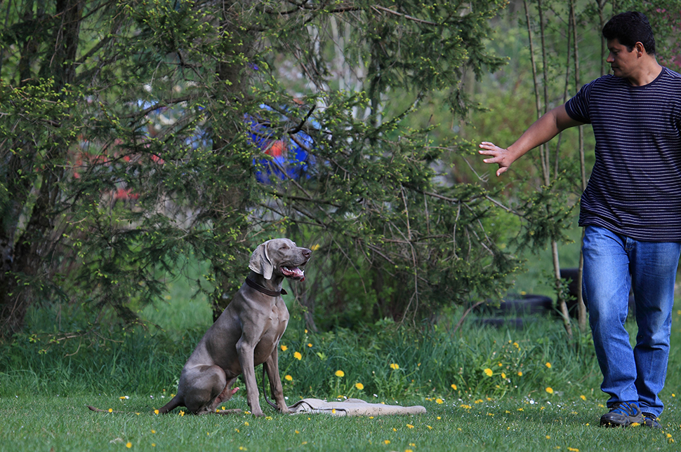 DER MENSCH - DER FÜHRT #1