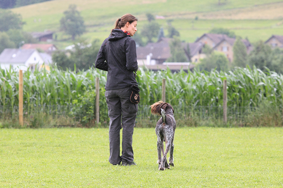 DER MENSCH - DER FÜHRT #3