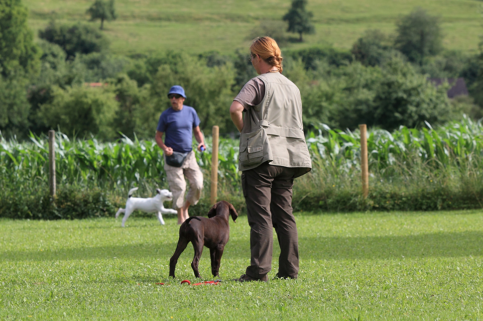 DER MENSCH - DER FÜHRT #4
