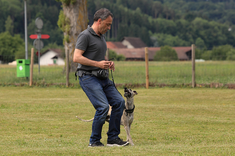 DIE LEINE ALS NEBENSACHE #1