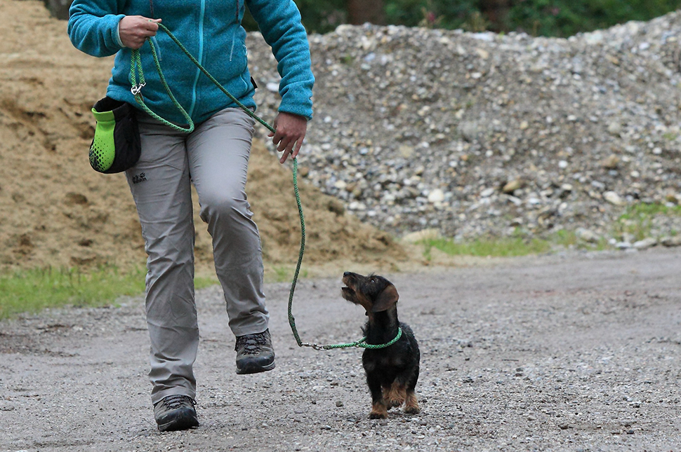 DIE LEINE ALS KOMMUNIKATIVES SIGNALHILFSMITTEL #1