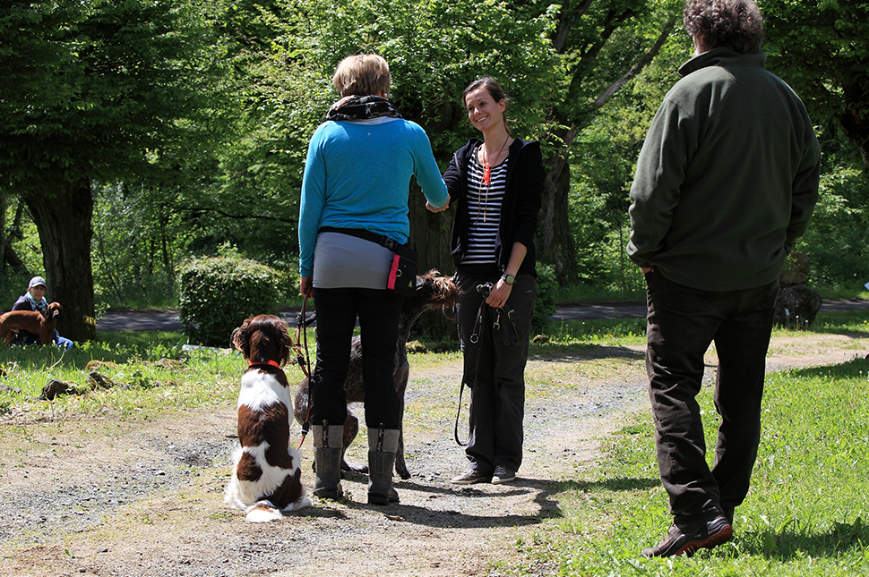 DIE LEINE ALS KOMMUNIKATIVES SIGNALHILFSMITTEL #2
