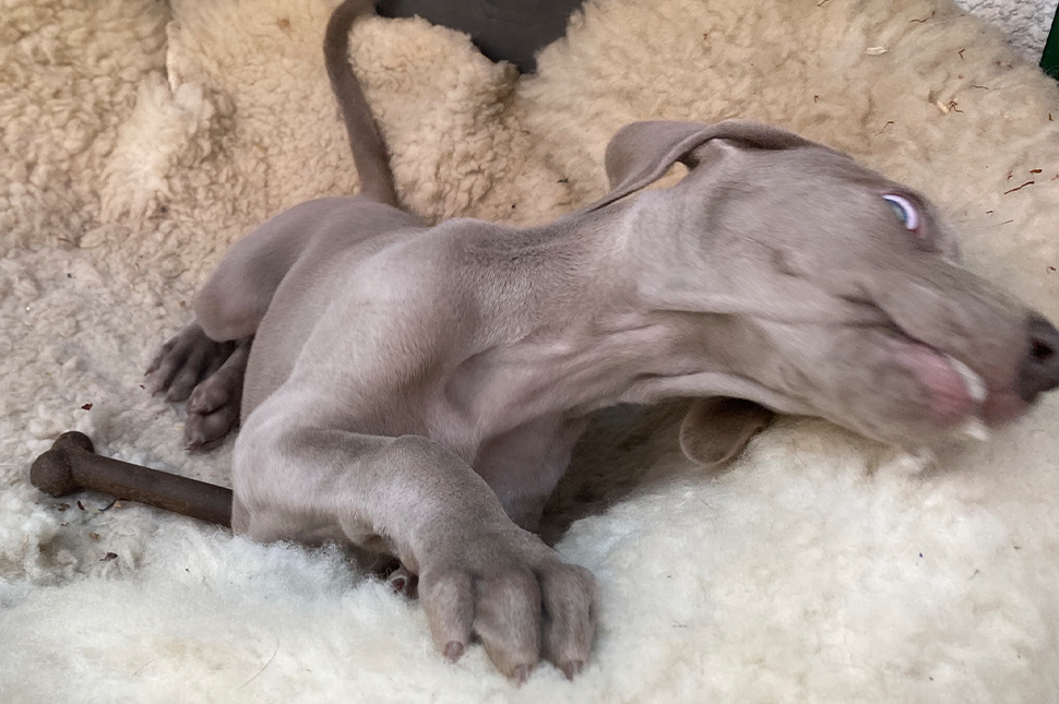 Die verrückten 5 Minuten (Teil 1)