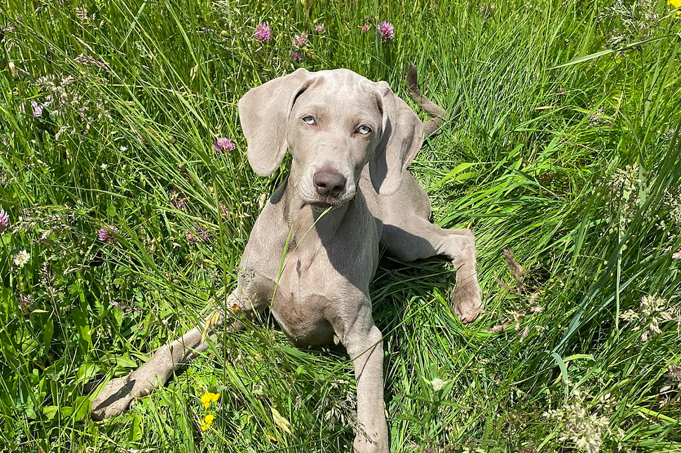 Die verrückten 5 Minuten (Teil 2)