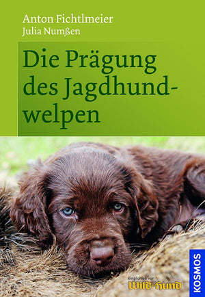 Die Prägung des Jagdhundwelpen - best4dogs.de