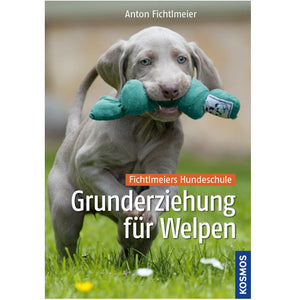 E-Book "Grunderziehung für Welpen" - best4dogs.de
