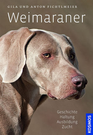 Weimaraner - best4dogs.de